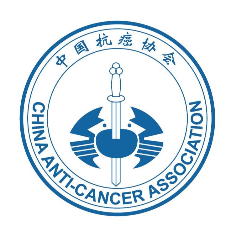 低调看球