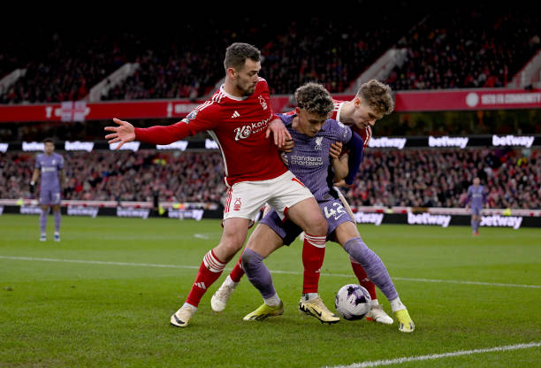 职业生涯 职业生涯